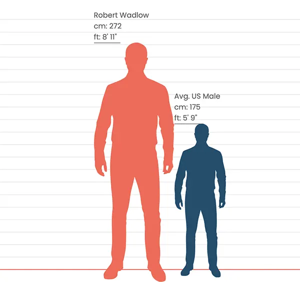 Robert Wadlow vs average US male height